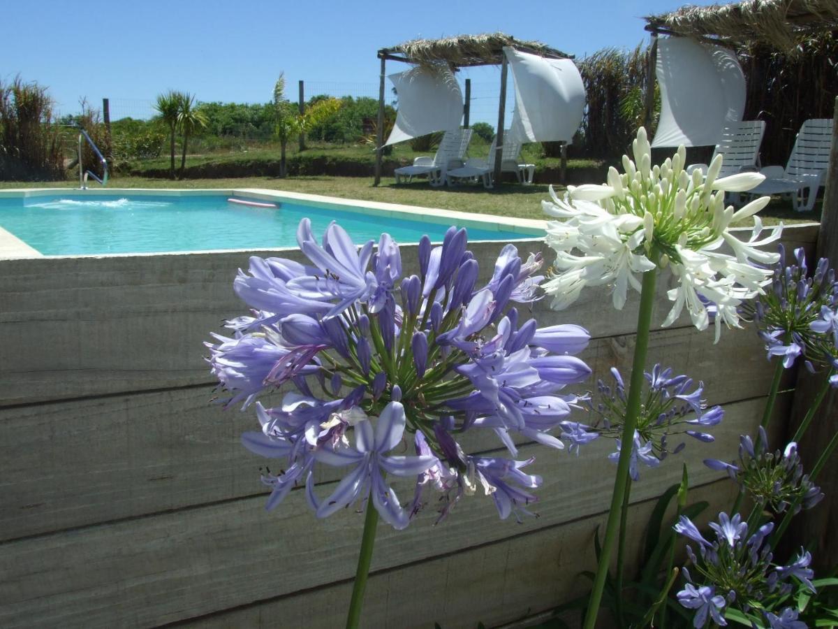 Apartamentos La Playa Piriápolis Eksteriør billede